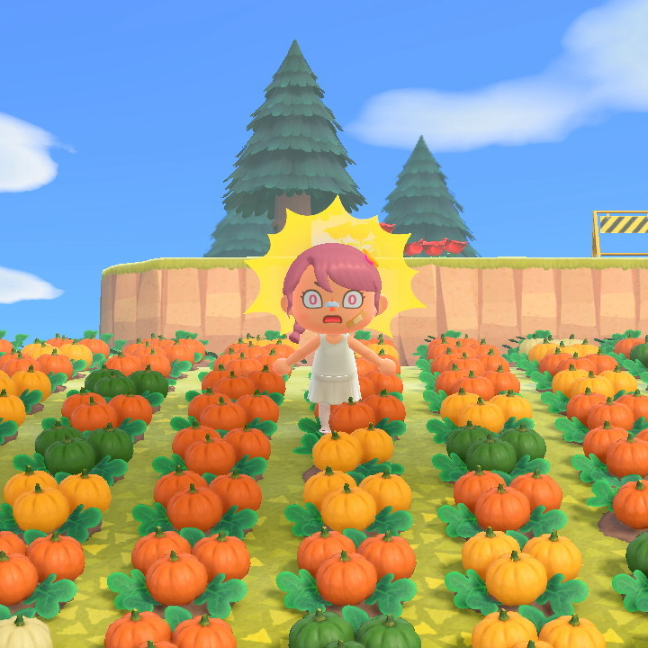User uploaded post image