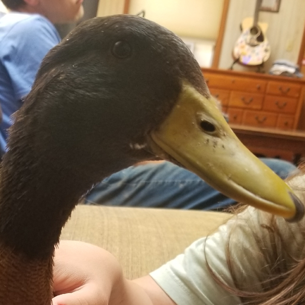 Post owner's profile image